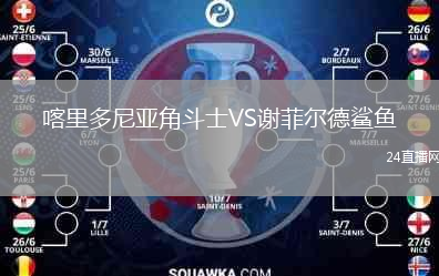 喀里多尼亚角斗士VS谢菲尔德鲨鱼