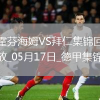 05月17日德甲第34轮霍芬海姆vs拜仁慕尼黑进球视频