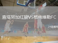查塔努加红狼VS格林维勒FC
