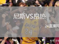 尼斯VS昂热