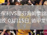 德甲-维斯豪普特制胜球圣保利1-0霍芬海姆