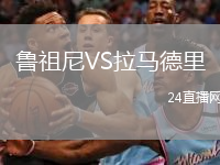 鲁祖尼VS拉马德里