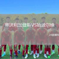 蒂沃利加登斯VS哈波尔维