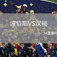 波特斯VS汉顿