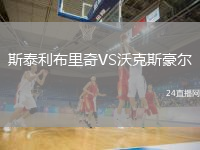 斯泰利布里奇VS沃克斯豪尔