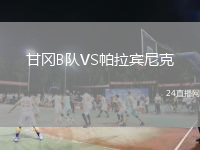 甘冈B队VS帕拉宾尼克