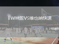 BW林茨VS维也纳快速