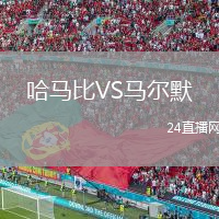 哈马比VS马尔默
