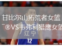 甘比尔山拓荒者女篮VS韦弗利猎鹰女篮