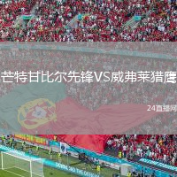 芒特甘比尔先锋VS威弗莱猎鹰