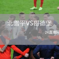 北雪平VS哥德堡