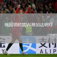 桃园领航猿VS雅加达明灯