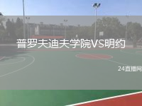 普罗夫迪夫学院VS明约