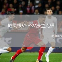 威灵根VSFSV法兰克福
