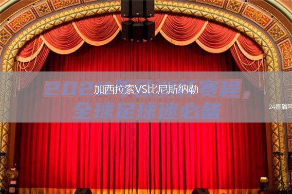 加西拉索VS比尼斯纳勒