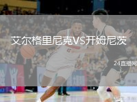 艾尔格里尼克VS开姆尼茨