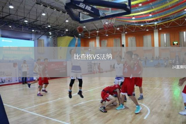 比查格VS法纳