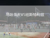 马哈多夫VS纽斯特利兹