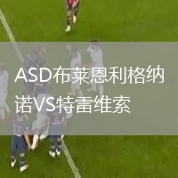 ASD布莱恩利格纳诺VS特雷维索