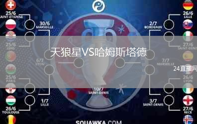 天狼星VS哈姆斯塔德