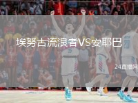 埃努古流浪者VS安耶巴