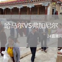 哈马尔VS弗加尼尔