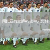 冈比亚荷兰狮VS史蒂夫比科