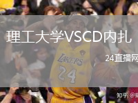 理工大学VSCD内扎
