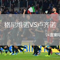 格尼维诺VS卢齐诺