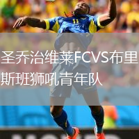 圣乔治维莱FCVS布里斯班狮吼青年队