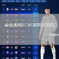安全系统FCVS苏阿火烈鸟