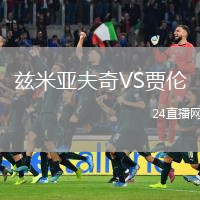 兹米亚夫奇VS贾伦