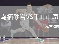 鸟栖砂岩VS千叶市原