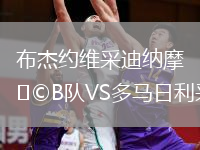 布杰约维采迪纳摩B队VS多马日利采