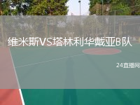 维米斯VS塔林利华戴亚B队