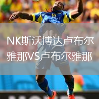 NK斯沃博达卢布尔雅那VS卢布尔雅那