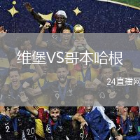 维堡VS哥本哈根
