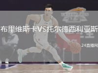布里维斯卡VS托尔德西利亚斯