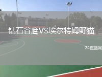 钻石谷鹰VS埃尔特姆野猫