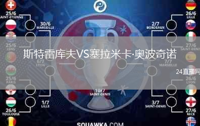 斯特雷库夫VS塞拉米卡·奥波奇诺