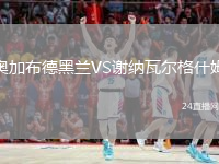 奥加布德黑兰VS谢纳瓦尔格什姆