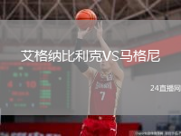 艾格纳比利克VS马格尼
