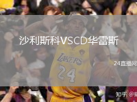 沙利斯科VSCD华雷斯