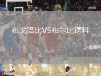 布戈洛比VS布尔比德科