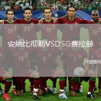 安纳比彻勒VSDSG费拉赫