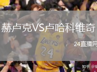 赫卢克VS卢哈科维奇
