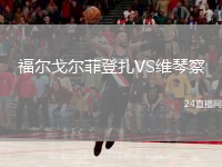 福尔戈尔菲登扎VS维琴察