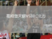 葛姆登天鹅VSBBC北方