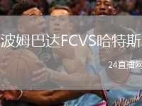 波姆巴达FCVS哈特斯