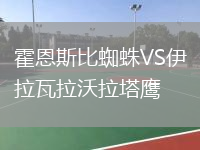 霍恩斯比蜘蛛VS伊拉瓦拉沃拉塔鹰